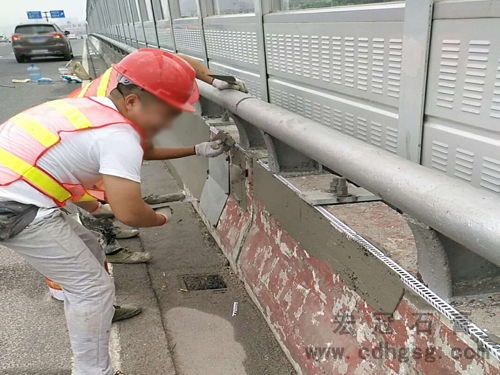 长沙西二环护栏美化改造